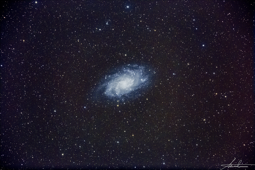 M33